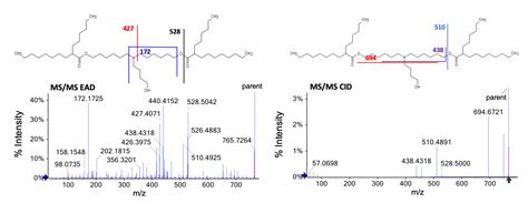 Structural Characterization Of The Cationic Lipid Nanoparticle