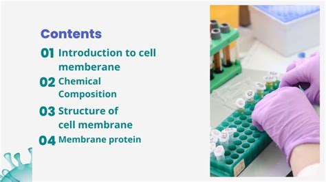 Cell Membrane And Membrane Proteins Pptx