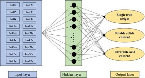 Structure Of Multilayer Perceptron Artificial Neural Networks Anns To Download Scientific