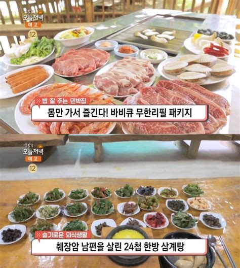 생방송오늘저녁 제천 24첩 한방 삼계탕 맛집 위치는밥 잘 주는 민박집 양평 바비큐 무한리필 패키지 네이트 연예