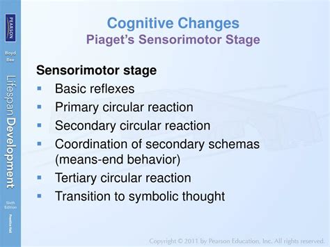 Piaget Sensorimotor Reflexes Sale | netla.hi.is