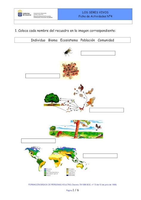 PDF 530304 Actividades Los Seres Vivos Ficha 4 DOKUMEN TIPS