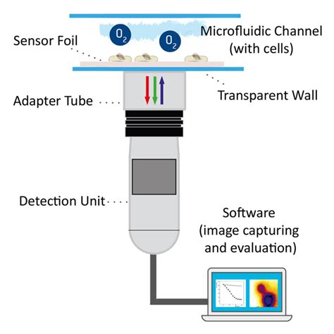 Sensors For Online Monitoring Of O2 Ph And Co2 In Microfluidics And