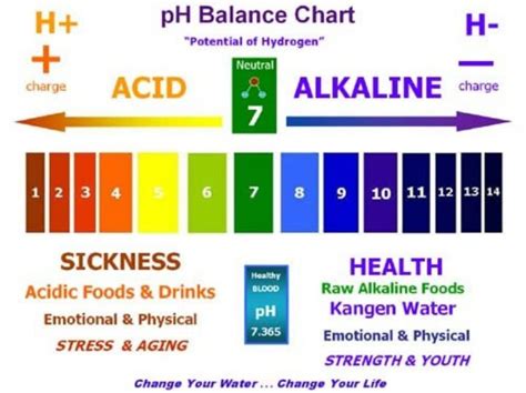 List of Alkaline Foods - The pH Balanced Diet - In5D Esoteric ...