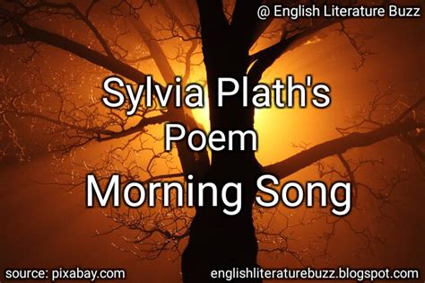 Sylvia Plath Morning Song