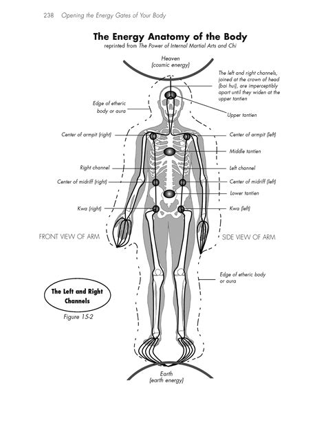 Taoist Energy Anatomy Energy Arts