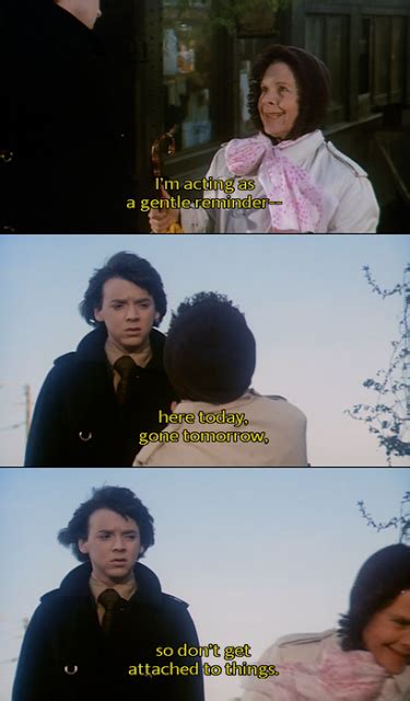 Harold And Maude Quotes. QuotesGram