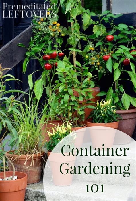 Container Gardening 101