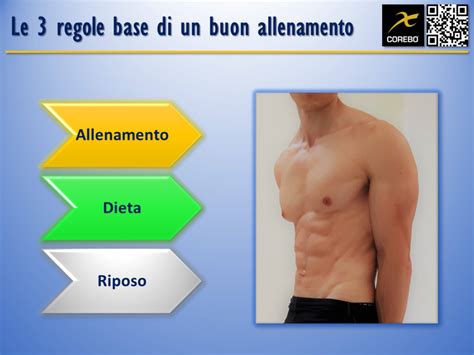 Scheda Palestra Massa Muscolare Esempi E Guida Pratica