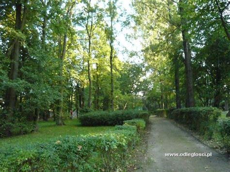 Park Im Fryderyka Chopina Konin Zdj Cie Nr