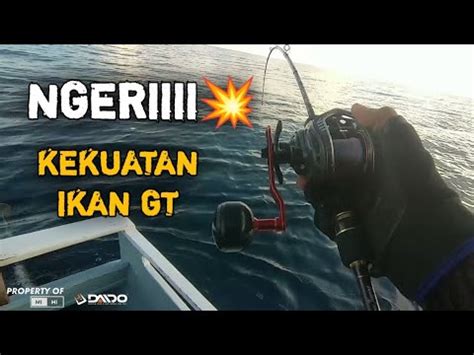 Ngeri Kekuatan Ikan Ini Melawan Piranti Kecil MiHi EX Mantab YouTube