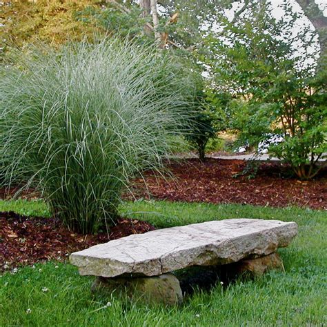 Landscaping With Ornamental Grasses The Happy Housie, 41% OFF