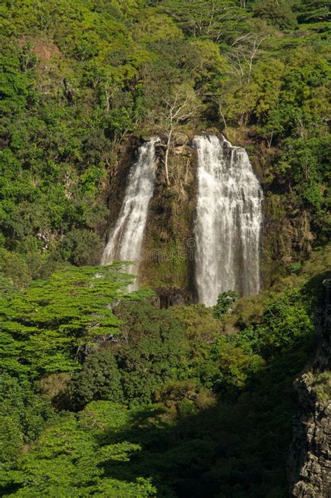 Opaekaa Falls Stock Photo Image Of Opaekaa Water Stream 240651434