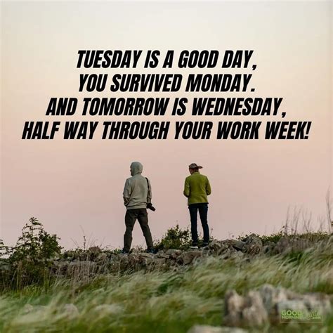 106 Happy Tuesday Quotes And Sayings With Pictures