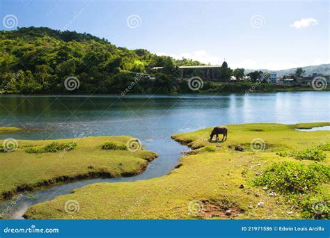 Bato River Stock Photo Image Of Riverside Church Vegetation 21971586