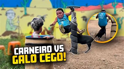 Galo Cego Foi Atacado Novamente Pelo Carneiro Chico 🤣🤣 Resenhas Do