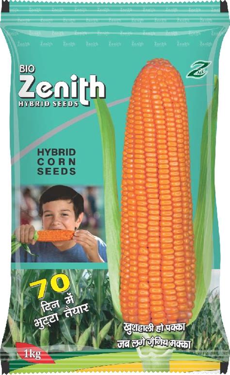 Hybrid Maize Seeds Color Yellow Zenith Hybrid Seeds Private