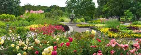 Home Minnesota Landscape Arboretum