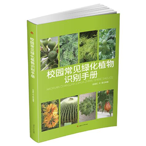 校園常見綠化植物識別手冊百度百科