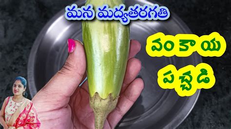 వంకాయ పచ్చడి Brinjal Chutney వావ్ అనిపించేల ఉండే ఈ వంకాయ పచ్చడి