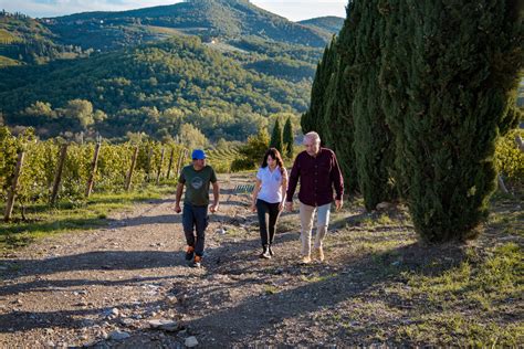 Degustazione Vini Radda In Chianti A Partire Da Freedome