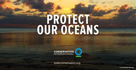 Protect Our Oceans