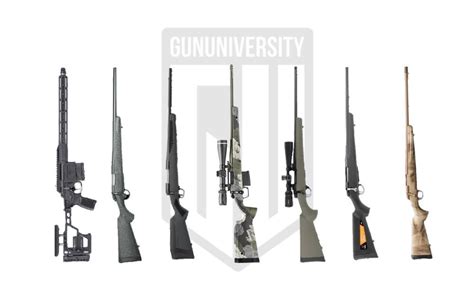 7 Best Hunting Rifles of 2024: What Setup is Right for You?