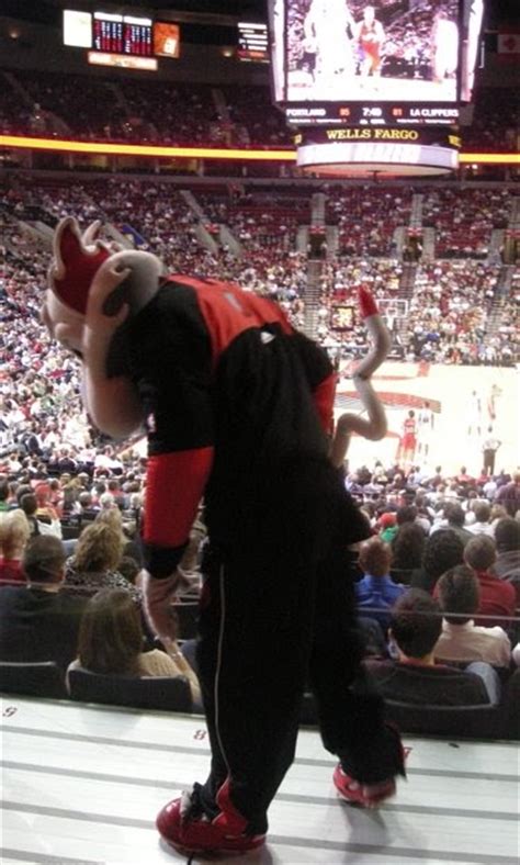 NBA Basketball Mascots: Portland Trail Blazers Blaze the Trail Cat Pictures