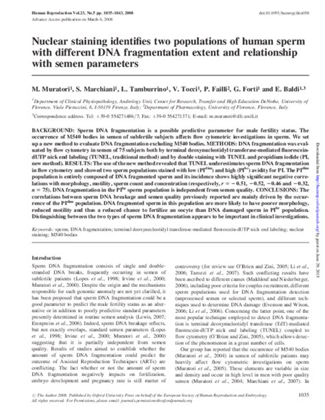 Pdf Nuclear Staining Identifies Two Populations Of Human Sperm With