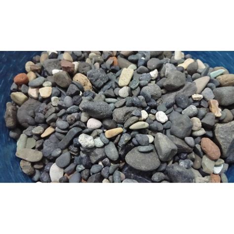 Jual Batu Kali Aquascape Bersih Shopee Indonesia