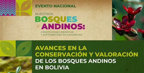 Bosques Andinos En Bolivia El Aporte Del Programa Bosques Andinos En