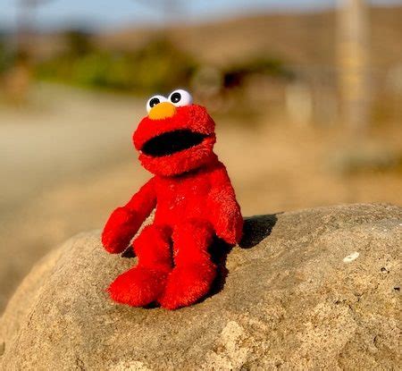 We love you, Elmo | My FrontPage Story