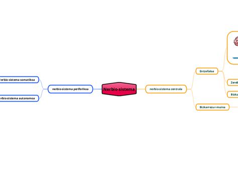 Nerbio Sistema Mind Map