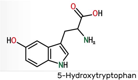 5羥基普坦5htp羥基三葉松奧西特裡普坦分子它是自然產生的氨基酸色氨酸衍生物骨骼化學配方向量圖形及更多健保和醫療圖片 Istock