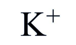 Draw the Lewis dot structure for the K+ ion. | Homework.Study.com