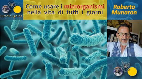 Come Usare I Microrganismi Nella Vita Di Tutti I Giorni Roberto