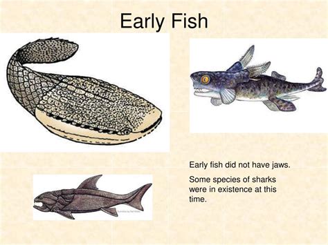 Ppt The Geological Time Scale Powerpoint Presentation Free Download