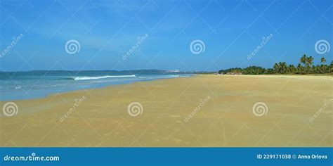 Betalbatim Beach In Goa State In India Stock Photo Image Of State