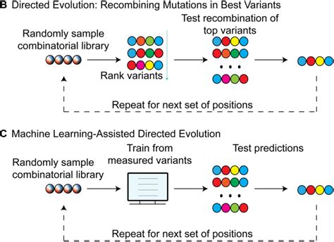 Figure 1 From Machine Learning Assisted Directed Protein Evolution With