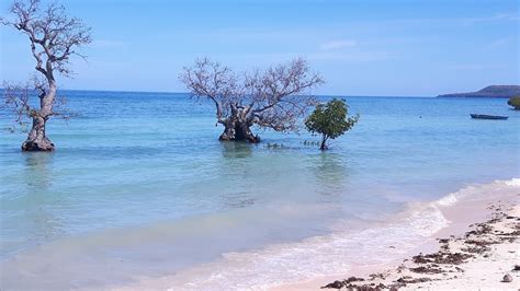 Visit Siquijor 2024 Travel Guide For Siquijor Central Visayas Expedia