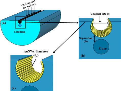 A Schematic Of Proposed Smf Structure B Cross Sectional View C Download Scientific