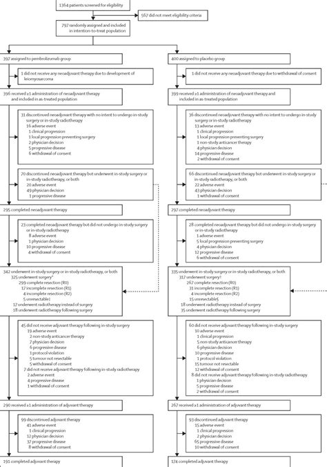 Neoadjuvant Pembrolizumab Plus Chemotherapy Followed By Adjuvant