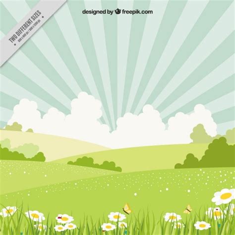 Premium Vector Spring Landscape With Daisies