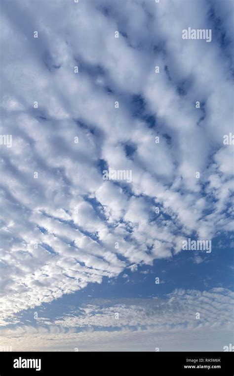 Altocumulus stratiformis perlucidus undulatus Wolken, Germany Stock ...