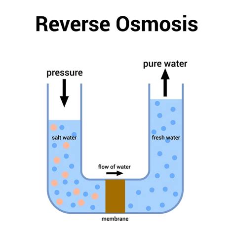 Reverse Osmosis Vector Images Depositphotos