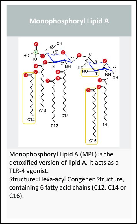 Monophosphoryl Lipid A Download Scientific Diagram