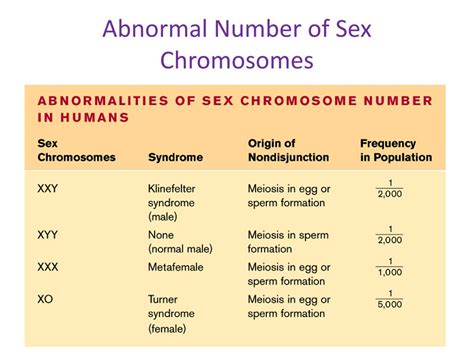 Ppt Mistakes In Meiosis Powerpoint Presentation Free Download Id334296