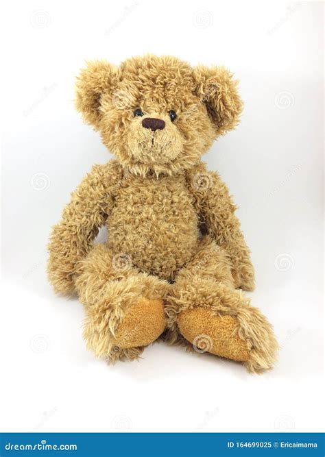 Urso De Teddy Bonito Sentado Em Fundo Branco Imagem De Stock Imagem