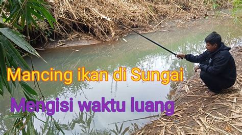 Mancing Ikan Di Sungai Mengisi Waktu Luang Abizar Channel Youtube