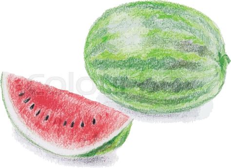 Realistic Sketch Watermelon Drawing Realistic pencil drawing offers ...